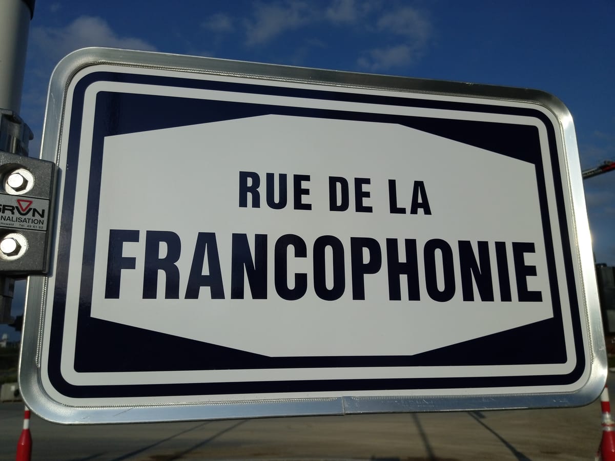 La Francophonie : 321 millions de francophones dans le monde (et la plus grande ville francophone n’est pas Paris) - 321 million French speakers worldwide (and the largest French-speaking city isn’t Paris) (level B1-B2)